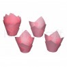 Cápsulas Mini Tulipa Rosa 100 KC
