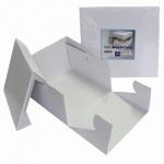 Caja Tarta con Tapa 25 x 25cm PME
